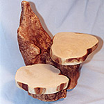 2 Shelf “Cypress Knee” Display